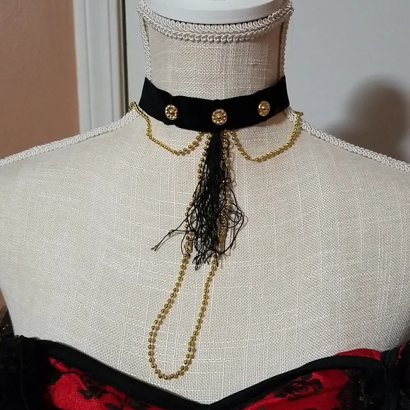 Costume, Rouge Dancer . Adults size 8 - Picture 4 of 5